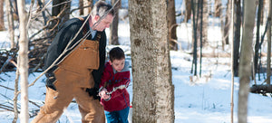 Maple Syrup: What Makes the grade