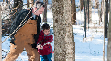 Maple Syrup: What Makes the grade