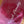 Load image into Gallery viewer, Red