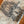 Load image into Gallery viewer, Clay (Beige)